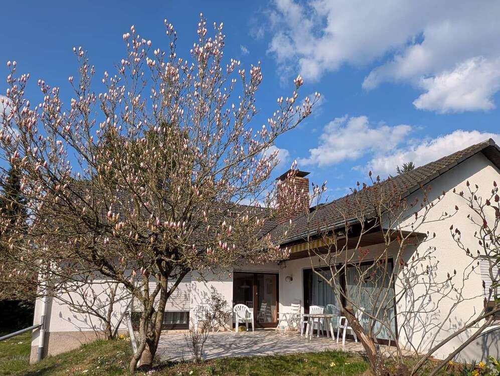 Thumbnail-Haus zum Kaufen in Heusenstamm 799.000,00 € 226 m²