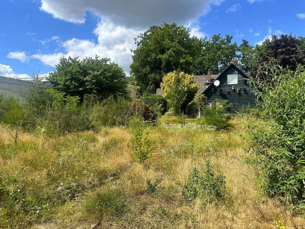 Thumbnail-Grundstück zu verkaufen in Buchholz 425.000,00 € 504 m²