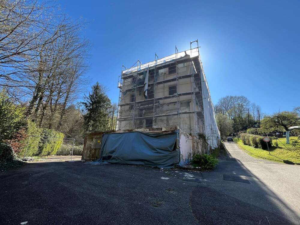 Thumbnail-Haus zum Kaufen in Baden-Baden 1.650.000,00 € 1181 m²