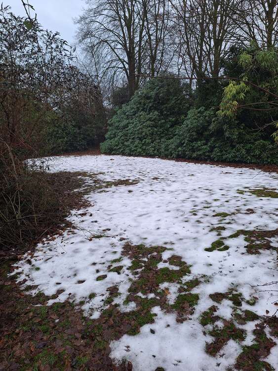 Thumbnail-Grundstück zu verkaufen in Bremen 449.000,00 € 1004 m²