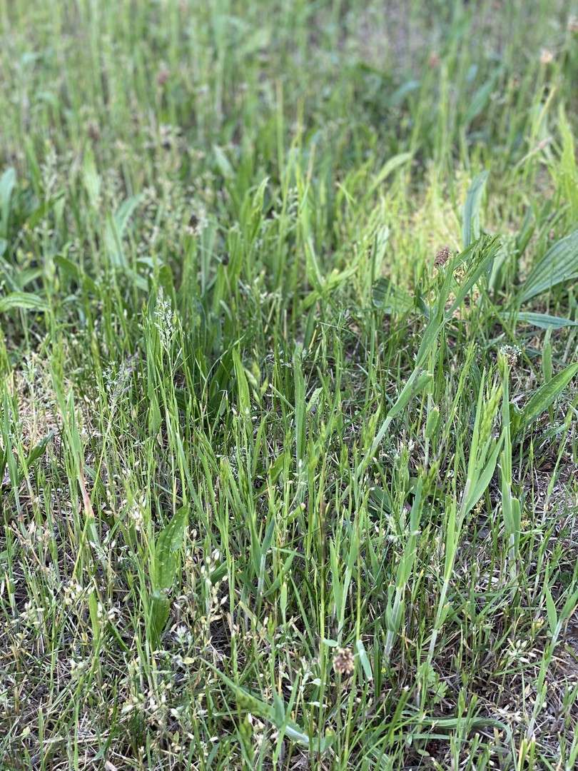 Thumbnail-Grundstück zu verkaufen in Fürth 534.900,00 € 595 m²