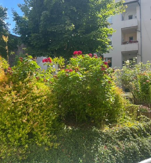 Thumbnail-Wohnung zum Kaufen in Hagen 250.000,00 € 121 m²
