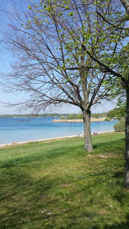 Thumbnail-Wohnung zum Kaufen in Leipzig 115.000,00 € 48 m²