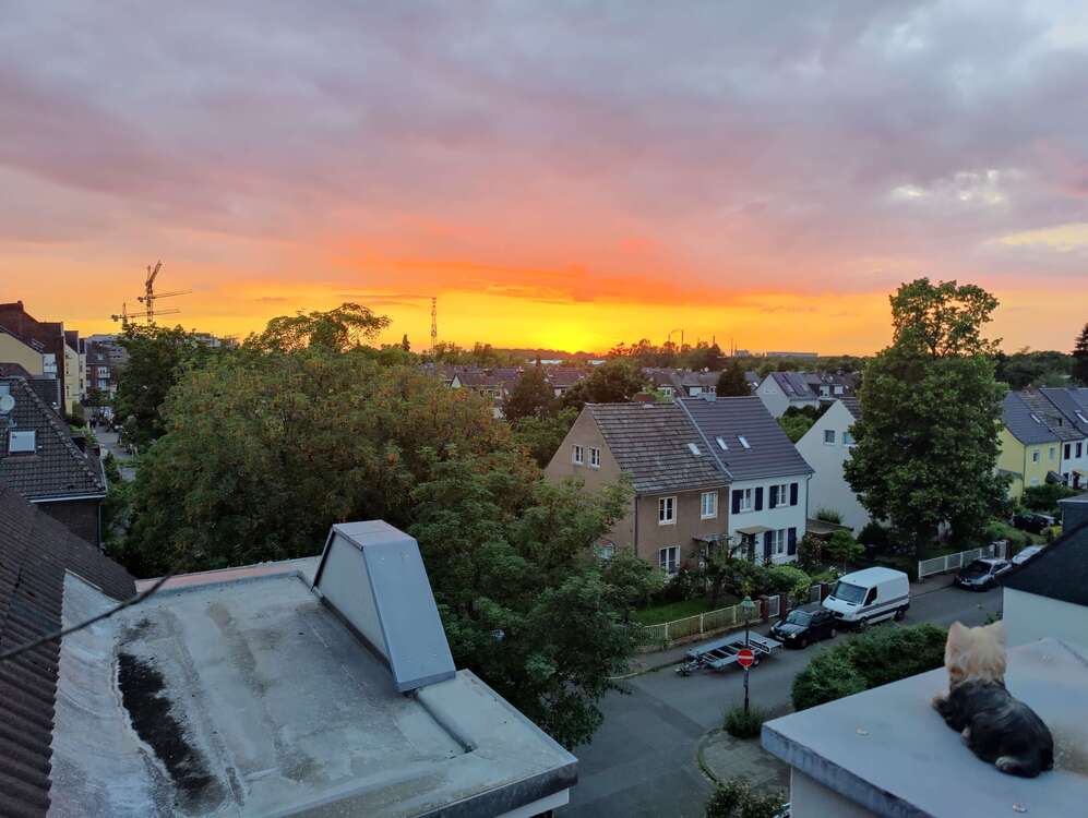 Thumbnail-Wohnung zum Mieten in Düsseldorf 900,00 € 74.03 m²