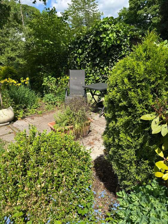 Thumbnail-Wohnung zum Mieten in Hagen 450,00 € 78 m²