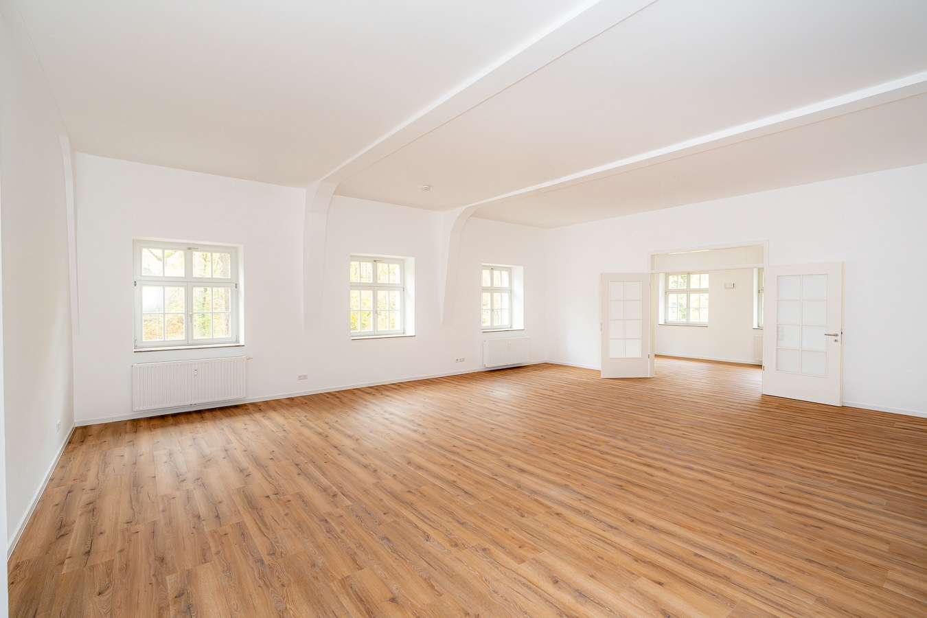 Thumbnail-Wohnung zum Mieten in Dresden 2.700,00 € 215.6 m²