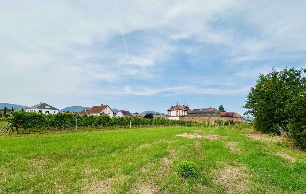 Thumbnail-Wohnung zum Kaufen in Edesheim 799.000,00 € 170 m²