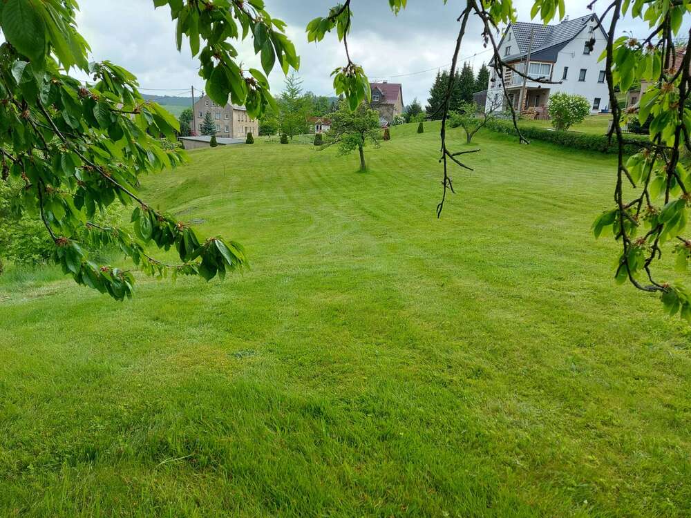 Thumbnail-Grundstück zu verkaufen in Steina 190.000,00 € 1600 m²