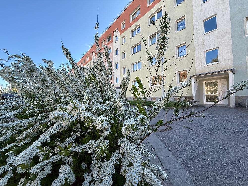Thumbnail-Wohnung zum Mieten in Wilkau-Haßlau 320,00 € 57.32 m²