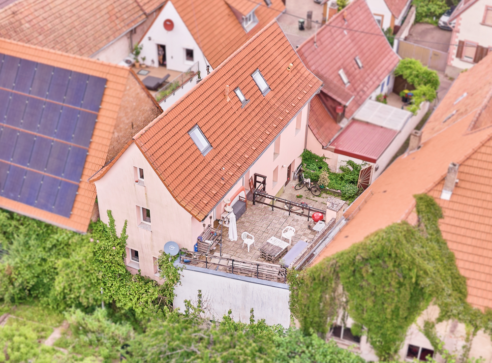 Thumbnail-Haus zum Kaufen in Landau 384.000,00 € 1 m²