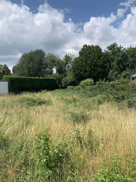 Thumbnail-Haus zum Kaufen in Ludwigshafen - Melm 555.000,00 € 130 m²