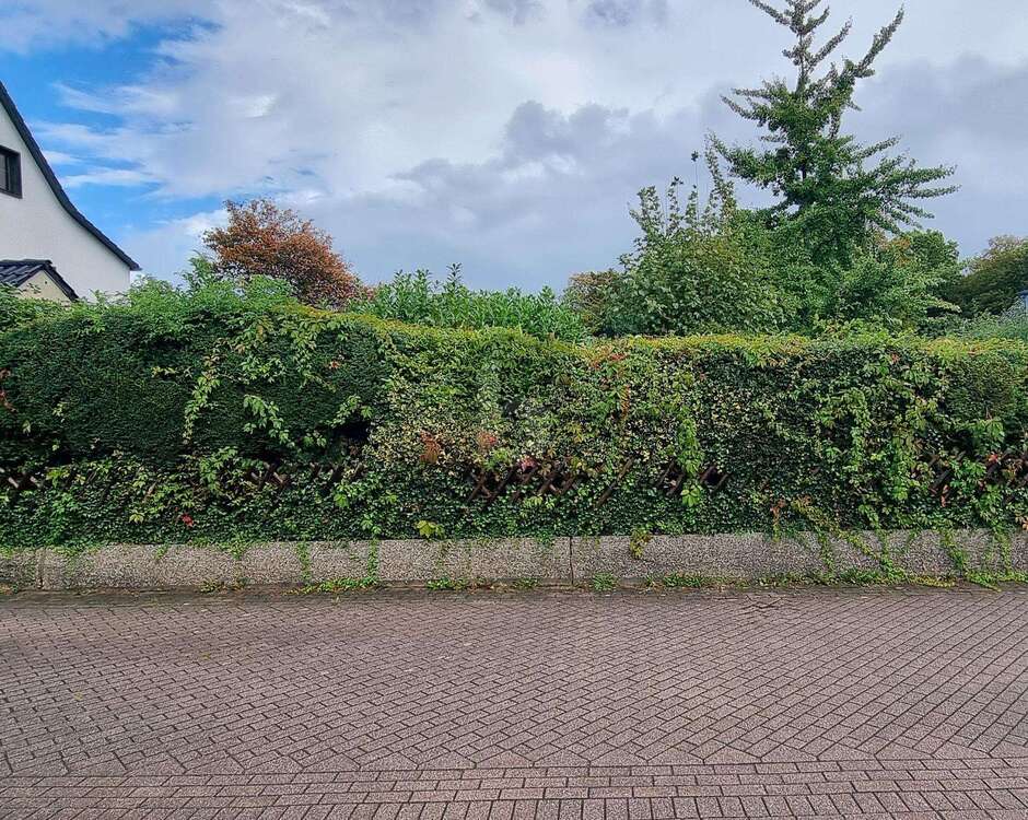 Thumbnail-Grundstück zu verkaufen in Essen 285.000,00 € 443 m²