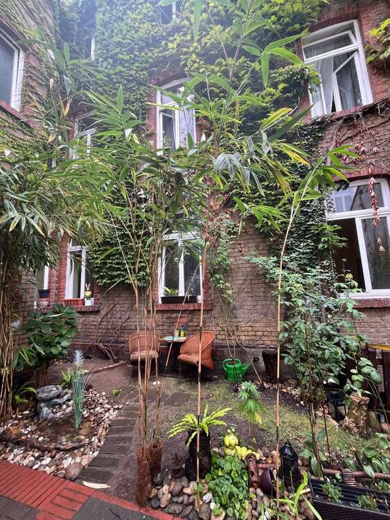 Thumbnail-Wohnung zum Mieten in Wiesbaden 1.340,00 € 110 m²