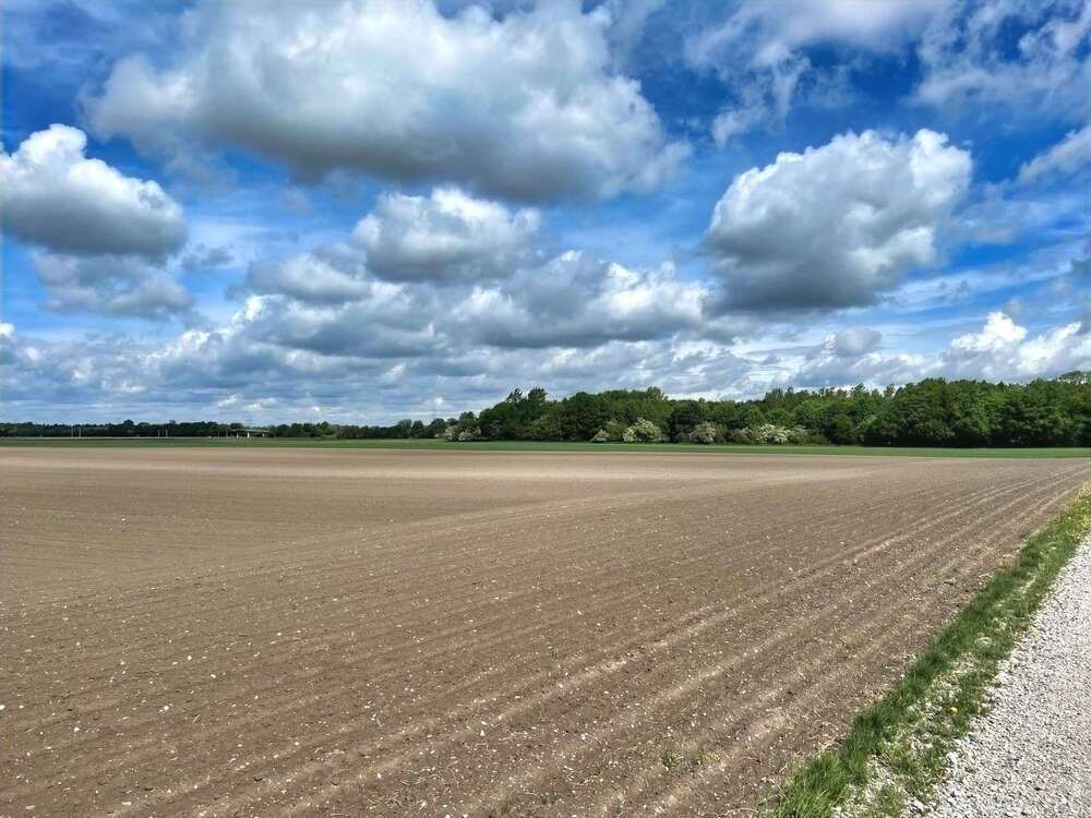 Thumbnail-Grundstück in Ismaning 445.200,00 € 17808 m²