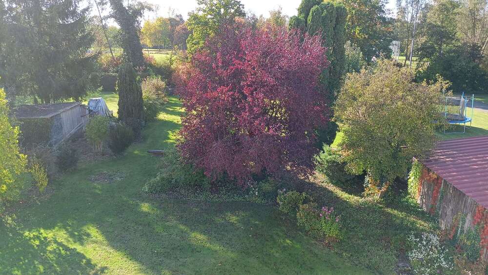 Thumbnail-Haus zum Kaufen in Ertingen 539.000,00 € 260 m²