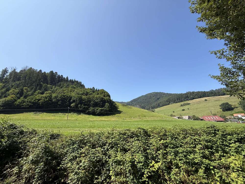 Thumbnail-Haus zum Kaufen in Freiburg-Kappel 646.000,00 € 175 m²