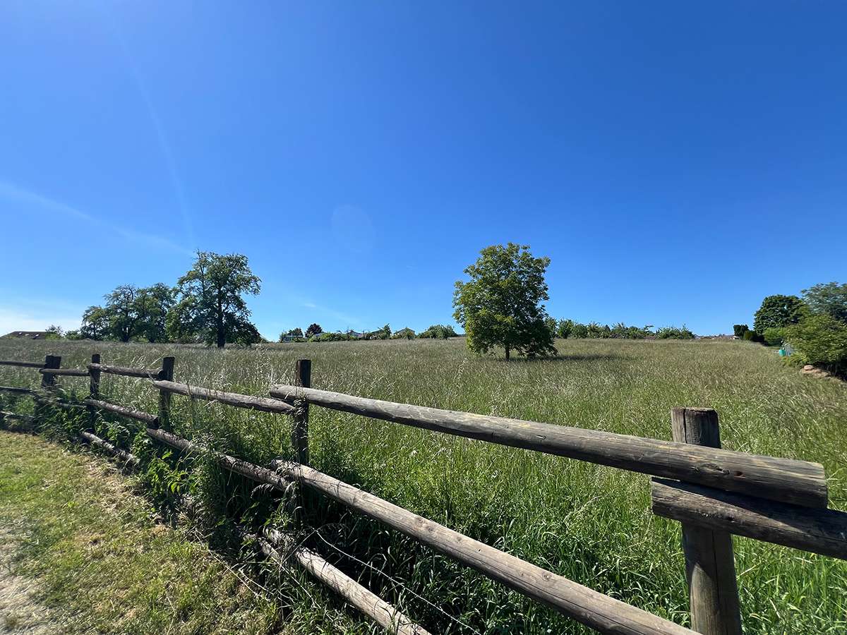 Thumbnail-Haus zum Kaufen in Backnang 815.000,00 € 189 m²