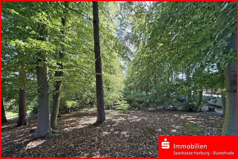 Thumbnail-Grundstück zu verkaufen in Buchholz 260.000,00 € 1300 m²