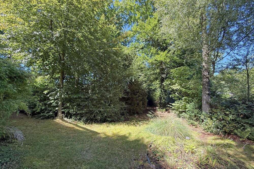 Thumbnail-Grundstück zu verkaufen in Buchholz 340.000,00 € 1280 m²