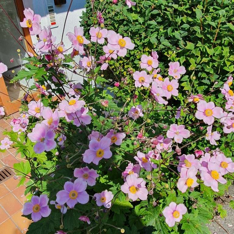 Thumbnail-Wohnung zum Kaufen in Weilheim 395.000,00 € 71 m²