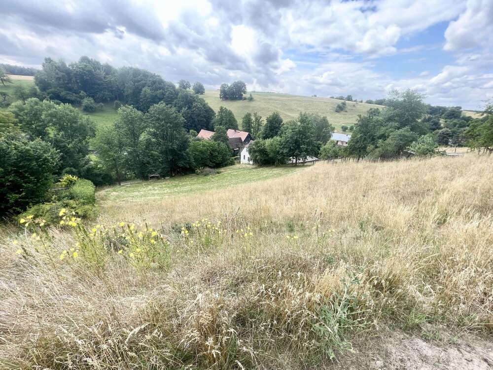 Thumbnail-Grundstück zu verkaufen in Eineborn 35.920,00 € 449 m²