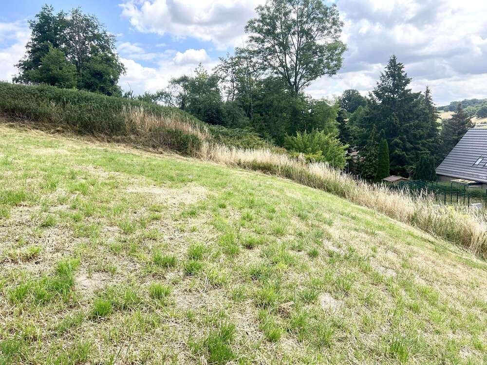 Thumbnail-Grundstück zu verkaufen in Eineborn 84.645,00 € 627 m²