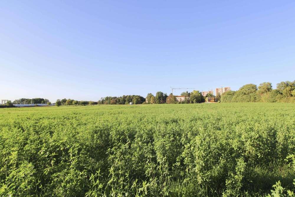 Thumbnail-Grundstück zu verkaufen in Erlangen 150.000,00 € 4960.2 m²