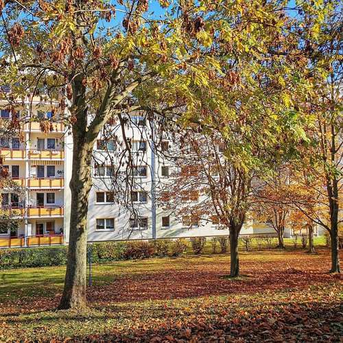 Thumbnail-Wohnung zum Mieten in Freiberg 324,00 € 54 m²
