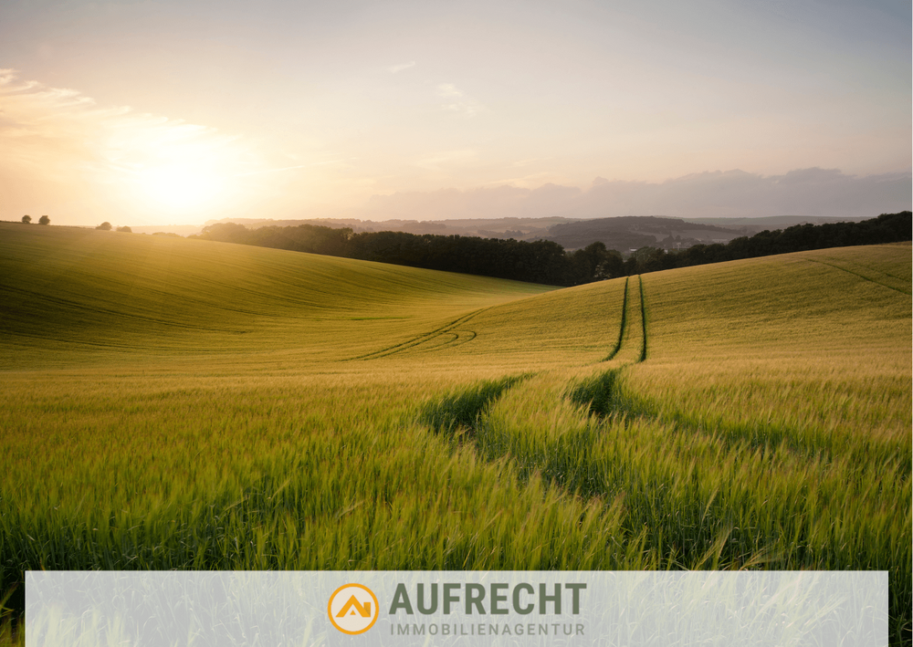 Thumbnail-Grundstück zu verkaufen in Röhrmoos 69.800,00 € 3882 m²