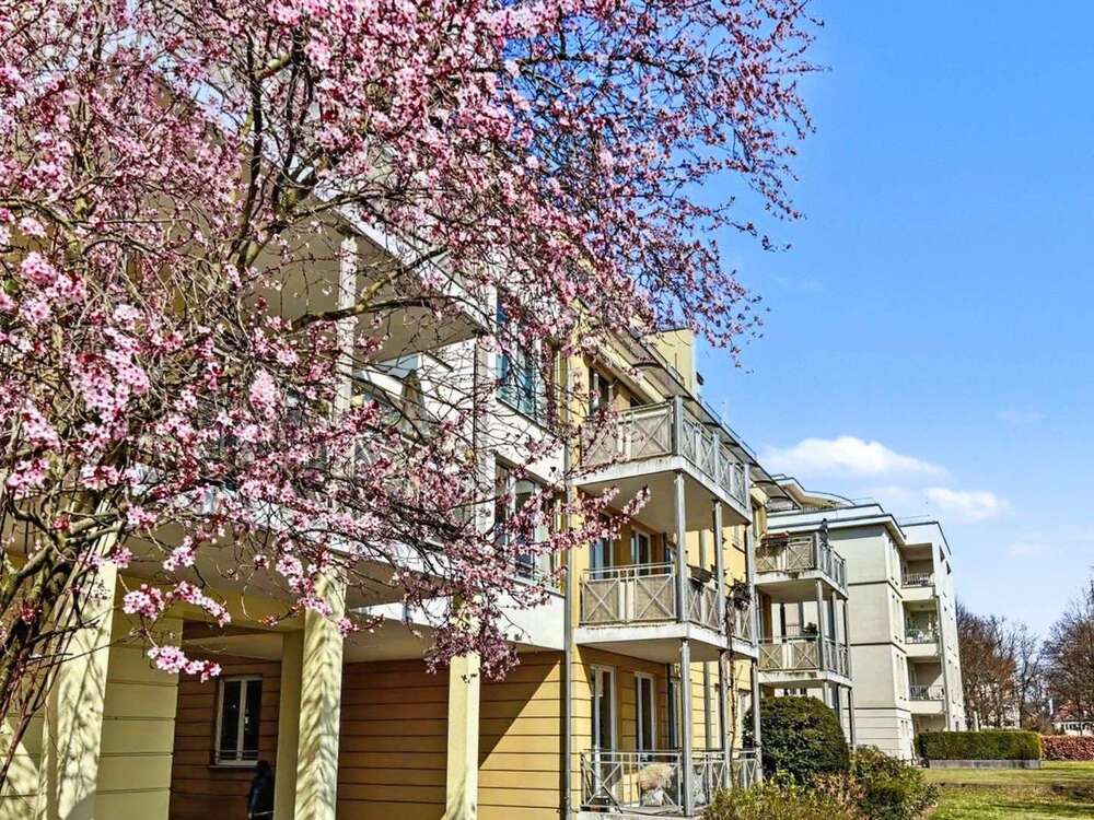 Thumbnail-Wohnung zum Kaufen in Potsdam 495.000,00 € 80 m²