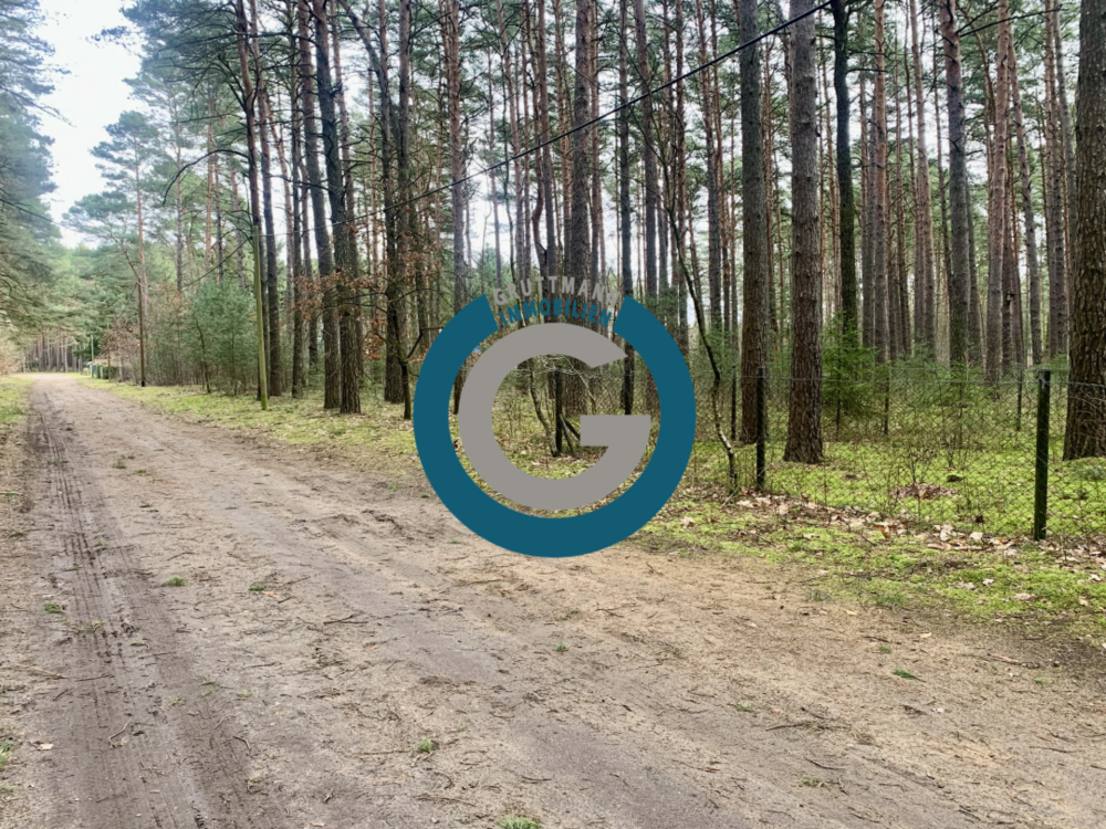 Thumbnail-Grundstück zu verkaufen in Borkheide 47.000,00 € 1281 m²