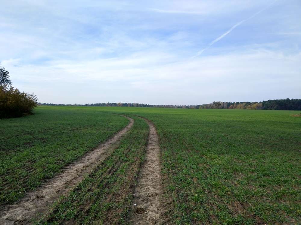 Thumbnail-Grundstück zu verkaufen in Stahnsdorf Güterfelde 49.000,00 € 10370 m²