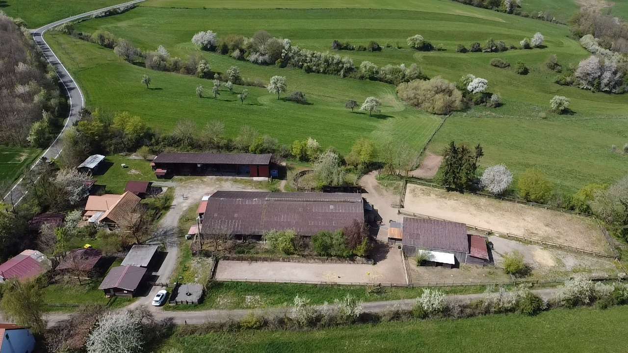 Thumbnail-Haus zum Kaufen in Kirrweiler 749.000,00 € 277 m²