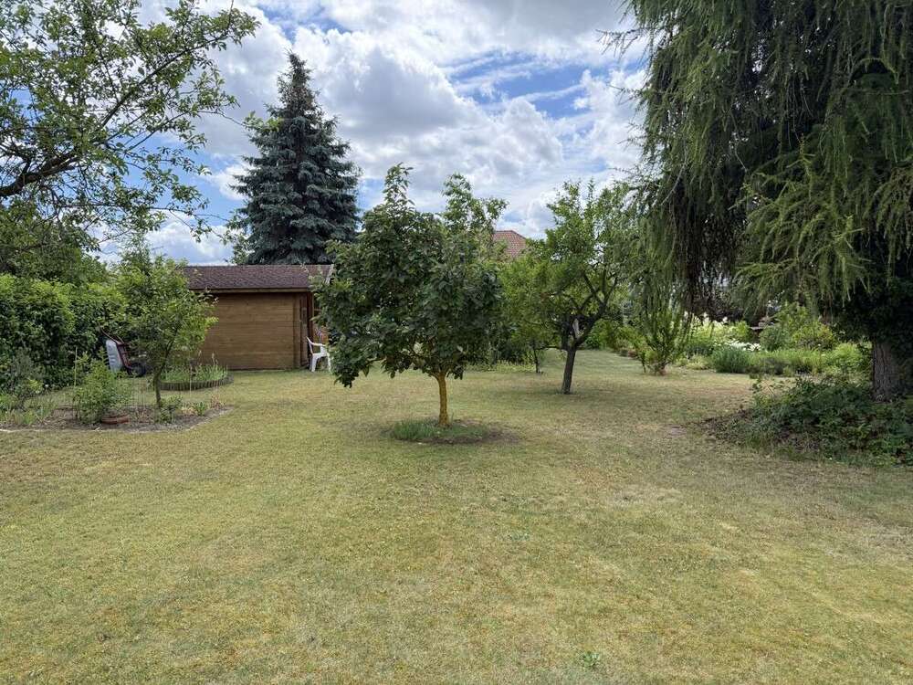 Thumbnail-Grundstück zu verkaufen in Schönefeld 398.000,00 € 767 m²