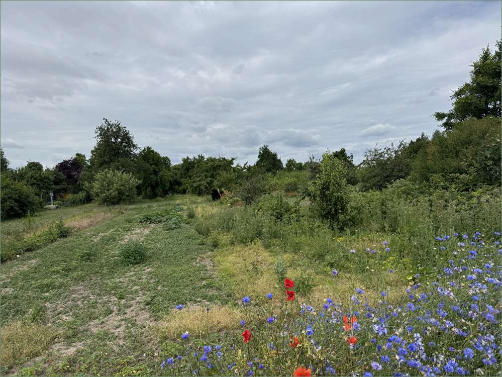 Thumbnail-Grundstück zu verkaufen in Hohe Börde OT Niederndodeleben 249.000,00 € 5800 m²