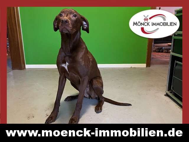 Thumbnail-Haus zum Kaufen in Weener 360.000,00 € 130 m²