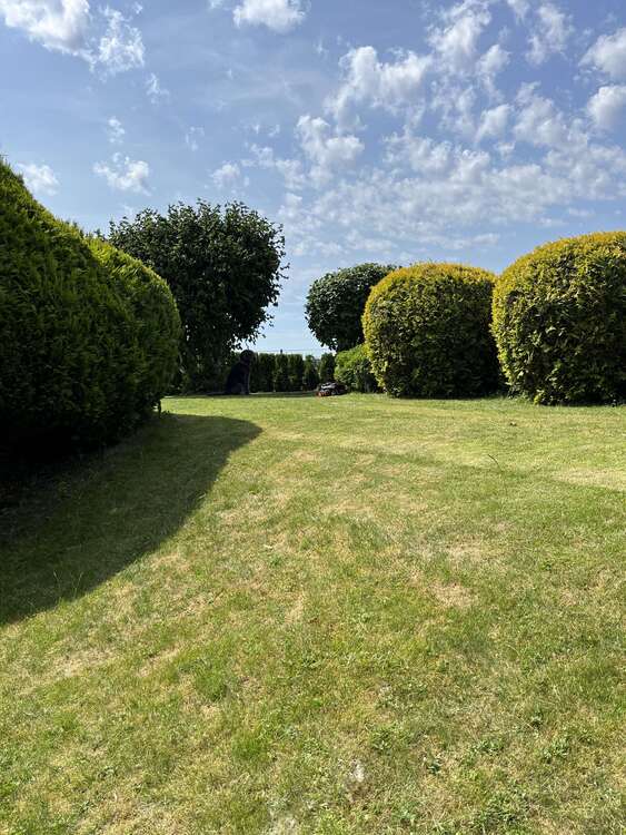 Thumbnail-Haus zum Kaufen in Damp-Ostsee 398.000,00 € 112 m²