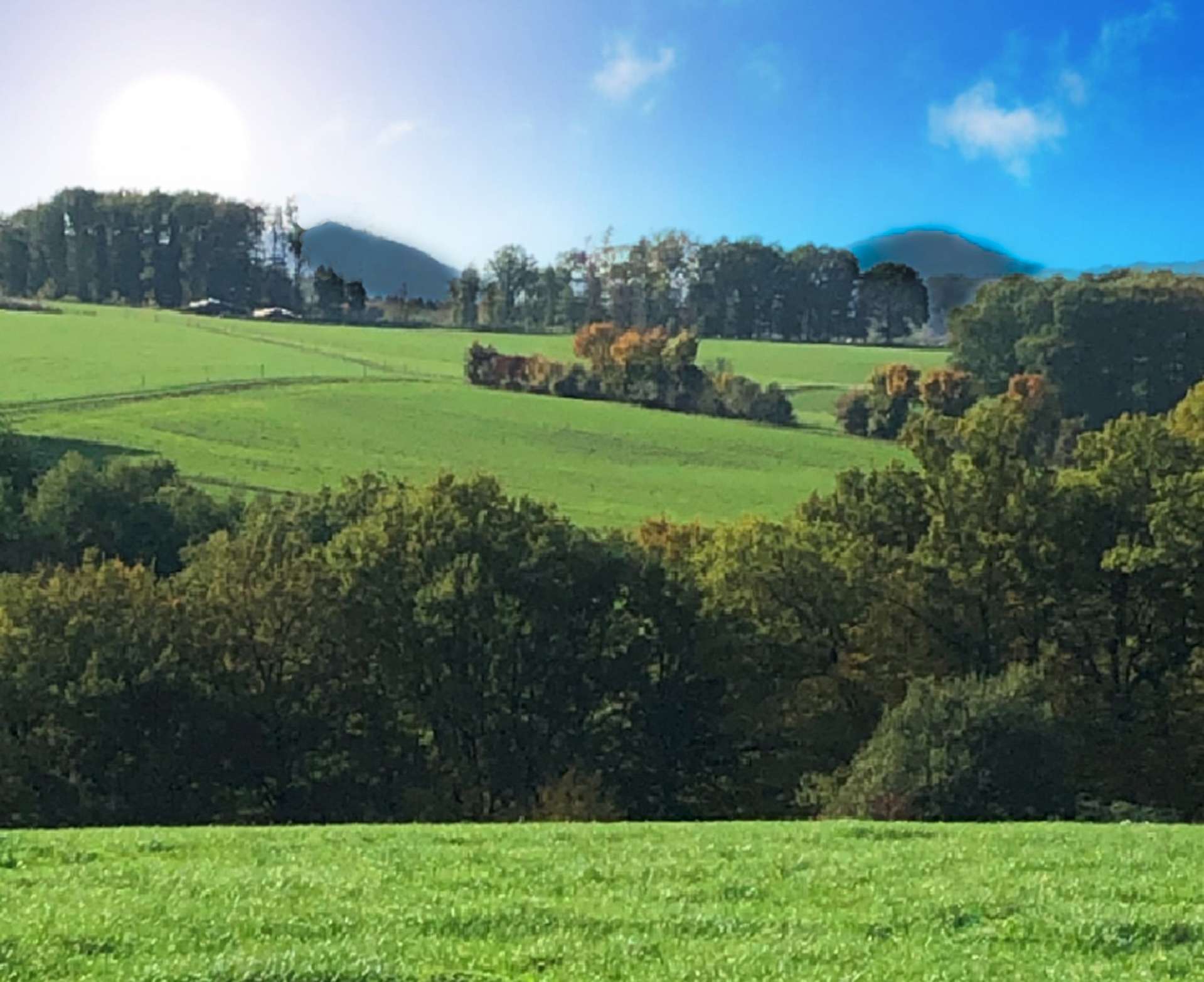 Thumbnail-Grundstück zu verkaufen in Buchholz 180.000,00 € 837 m²