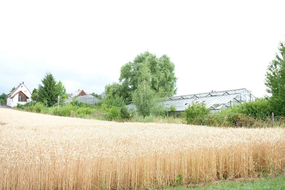 Thumbnail-Grundstück zu verkaufen in Habitzheim 181.000,00 € 475 m²