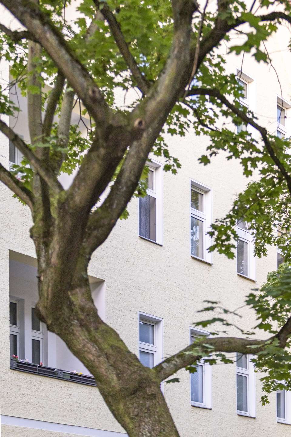 Thumbnail-Wohnung zum Kaufen in Berlin 228.000,00 € 71.65 m²