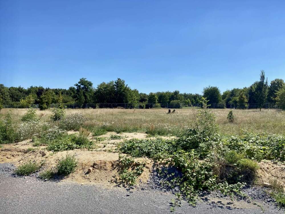 Thumbnail-Grundstück zu verkaufen in Bitterfeld-Wolfen 78.000,00 € 805 m²