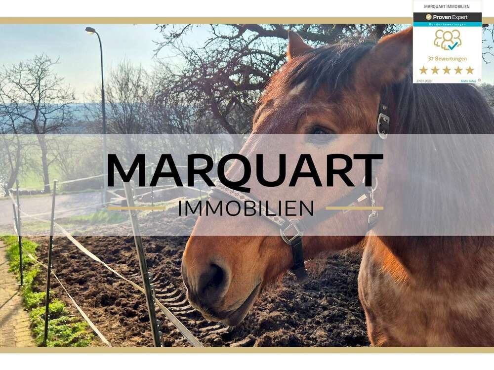 Thumbnail-Haus zum Kaufen in Schlüchtern 379.000,00 € 284 m²