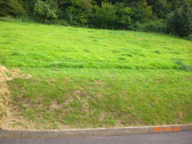 Thumbnail-Grundstück zu verkaufen in Knüllwald-Appenfeld 19.500,00 € 720 m²