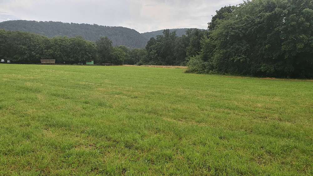 Thumbnail-Grundstück zu verkaufen in Waldeck Halbinsel Scheid 159.970,00 € 941 m²