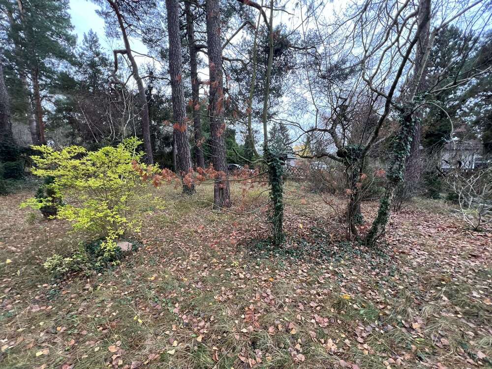 Thumbnail-Grundstück zu verkaufen in Blankenfelde-Mahlow 220.000,00 € 836 m²