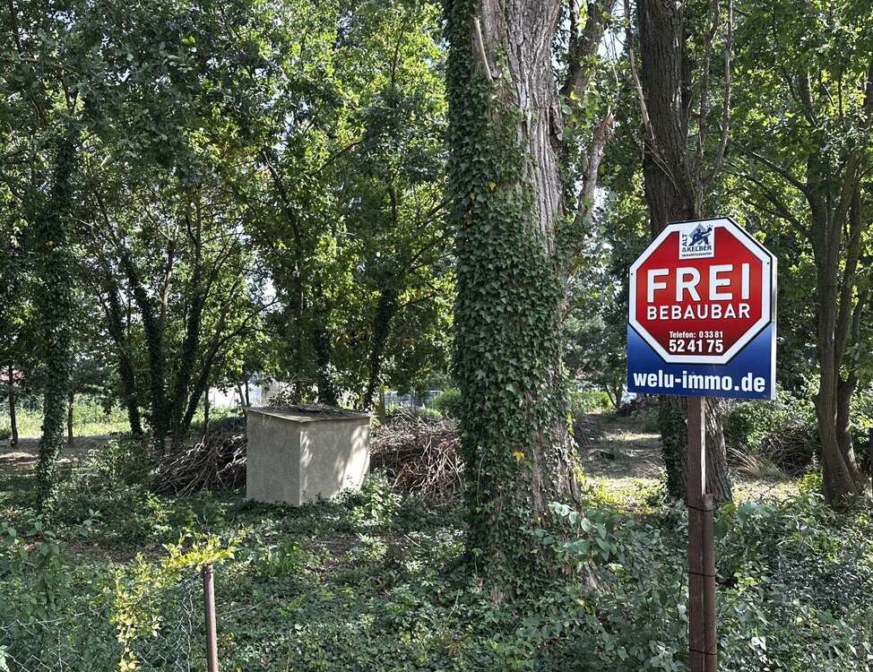 Thumbnail-Grundstück zu verkaufen in Brielow 179.000,00 € 1504 m²