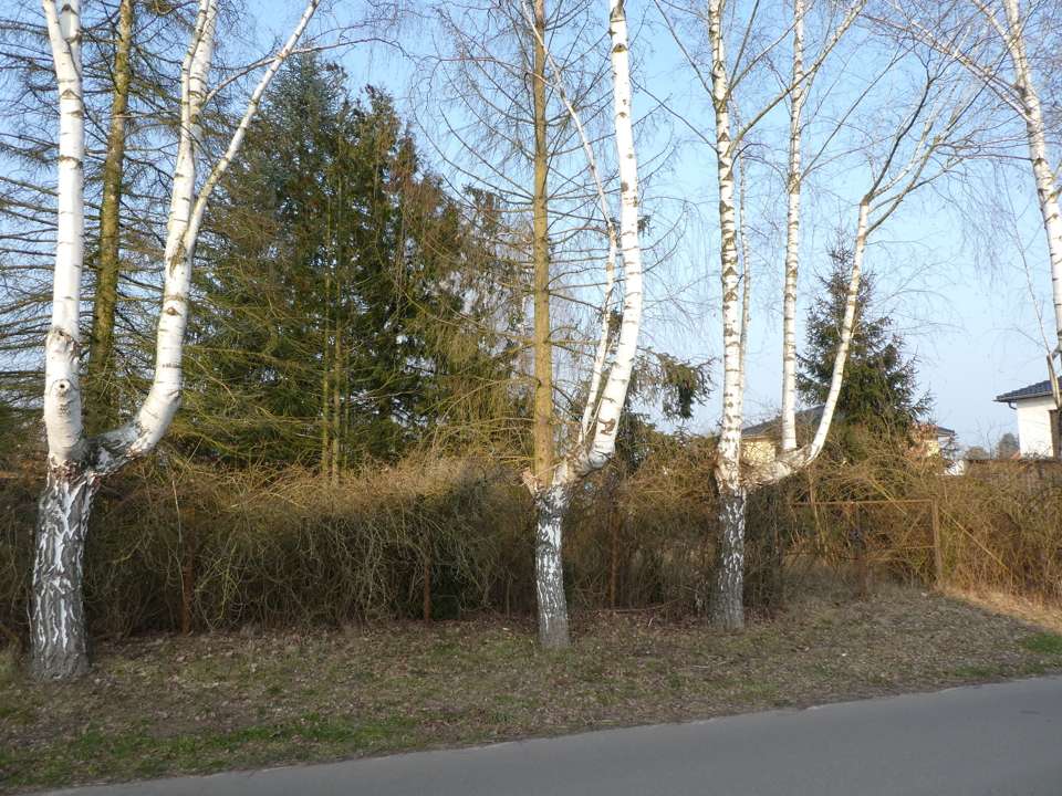 Thumbnail-Grundstück zu verkaufen in Fredersdorf-Vogelsdorf 225.000,00 € 719 m²