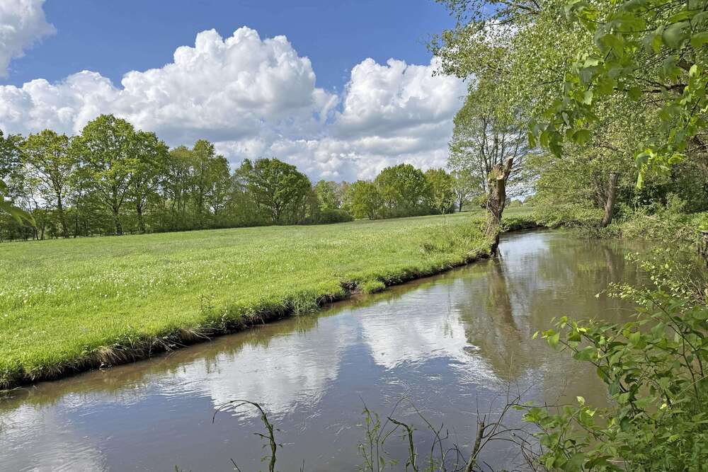 Thumbnail-Haus zum Kaufen in Winsen 449.000,00 € 122 m²