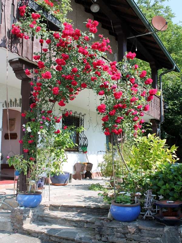 Thumbnail-Haus zum Kaufen in Glattbach 575.000,00 € 216 m²