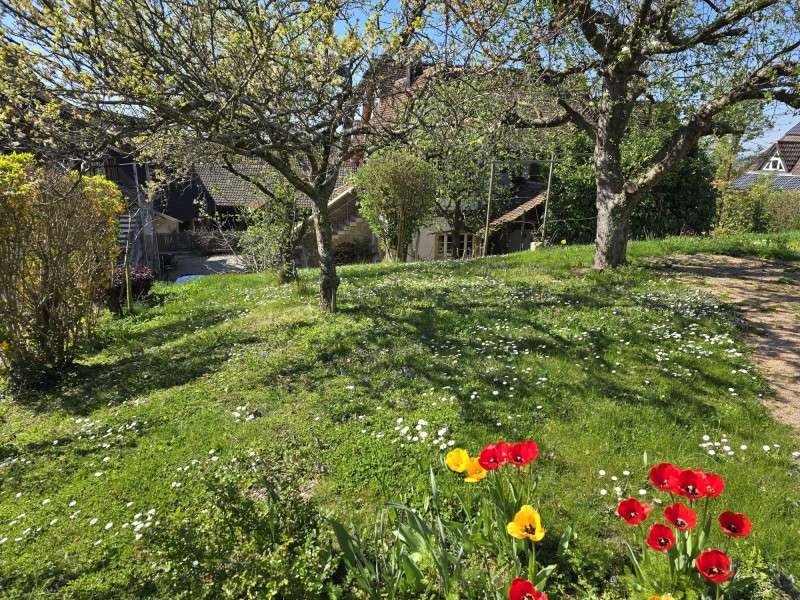 Thumbnail-Grundstück zu verkaufen in Müllheim 130.000,00 € 346 m²